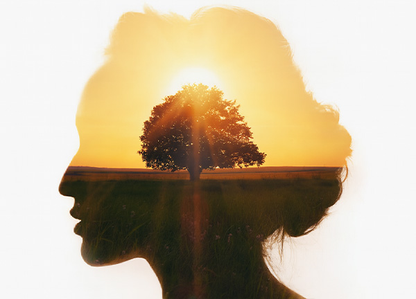 Dvasinio intelekto (SQ) ugdymo programa